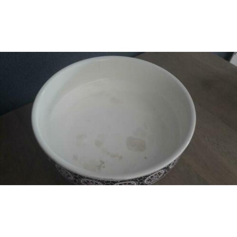 Schaal paars / zwart