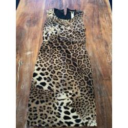 Roberts Cavalli mt s of m