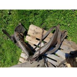 Paard paarden spullen