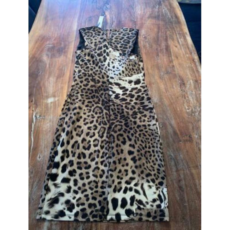 Roberts Cavalli mt s of m
