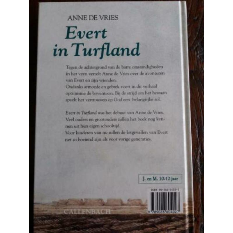 Anne de Vries - Evert in Turfland