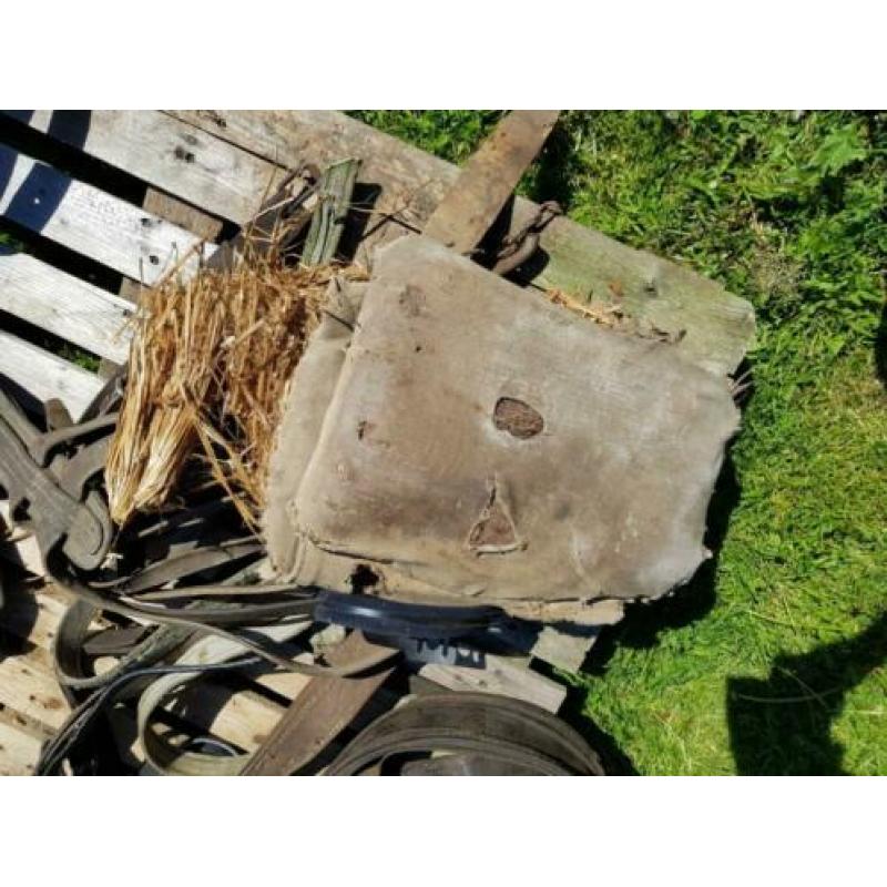 Paard paarden spullen