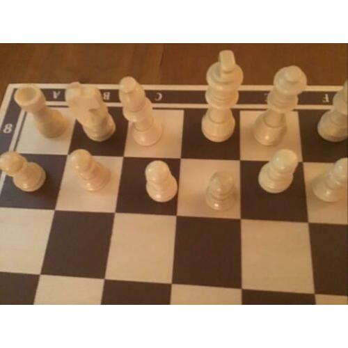 Houten schaakbord/schaakstukken/backgammon/Spiksplinternieuw