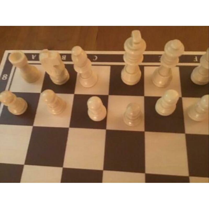 Houten schaakbord/schaakstukken/backgammon/Spiksplinternieuw