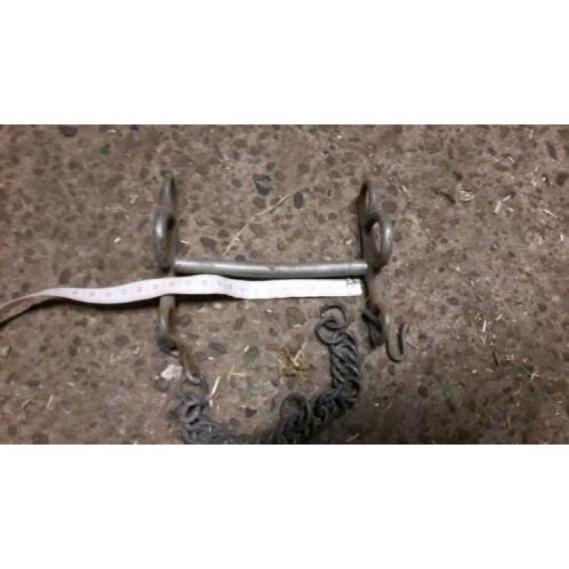 Partijtje bitten 12 tot 14 cm