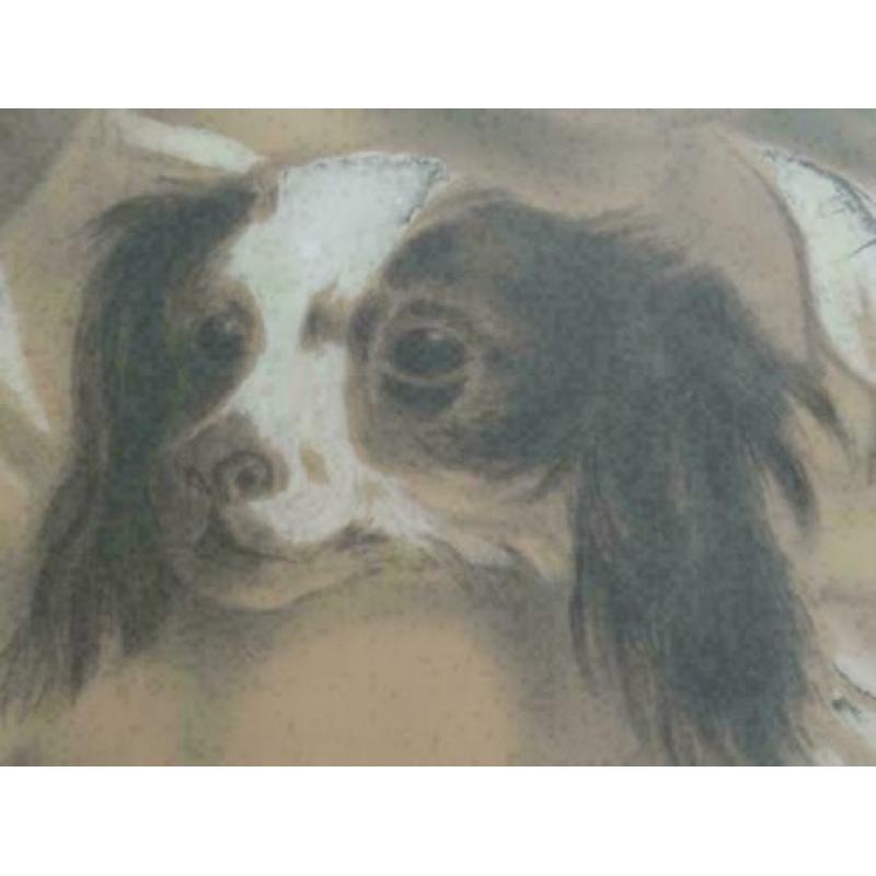 Schattig portret meisje met hond, monogram H.L.v.L.,1905