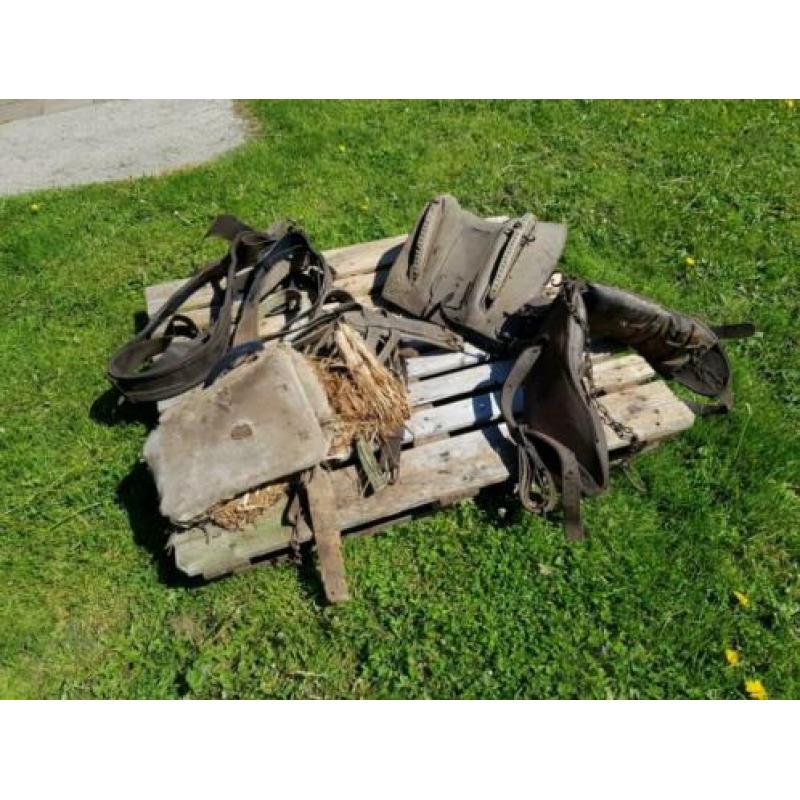 Paard paarden spullen