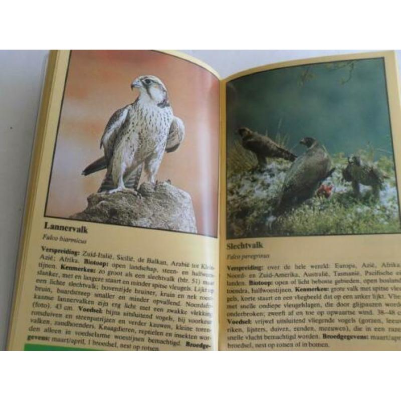 Zakgids ROOFVOGELS , Het herkennen van roofvogels en uilen