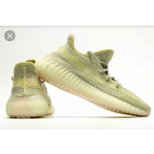 Adidas Yeezy Boost 350 V2 Antlia
