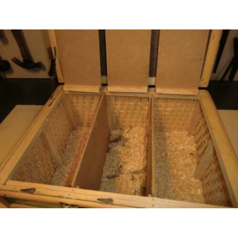 3 vaks duivenmand
