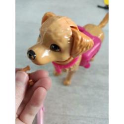 Barbie's + extra spullen
