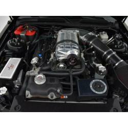 Ford USA Mustang SHELBY GT500 5.4 V8 SUPERCHARGED 800 PK 6-B