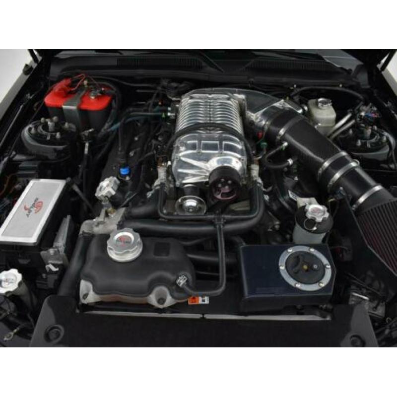 Ford USA Mustang SHELBY GT500 5.4 V8 SUPERCHARGED 800 PK 6-B