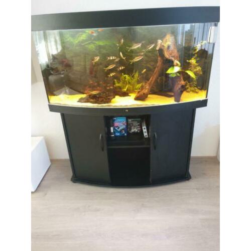 Juwel vision 260