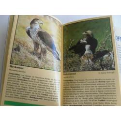 Zakgids ROOFVOGELS , Het herkennen van roofvogels en uilen