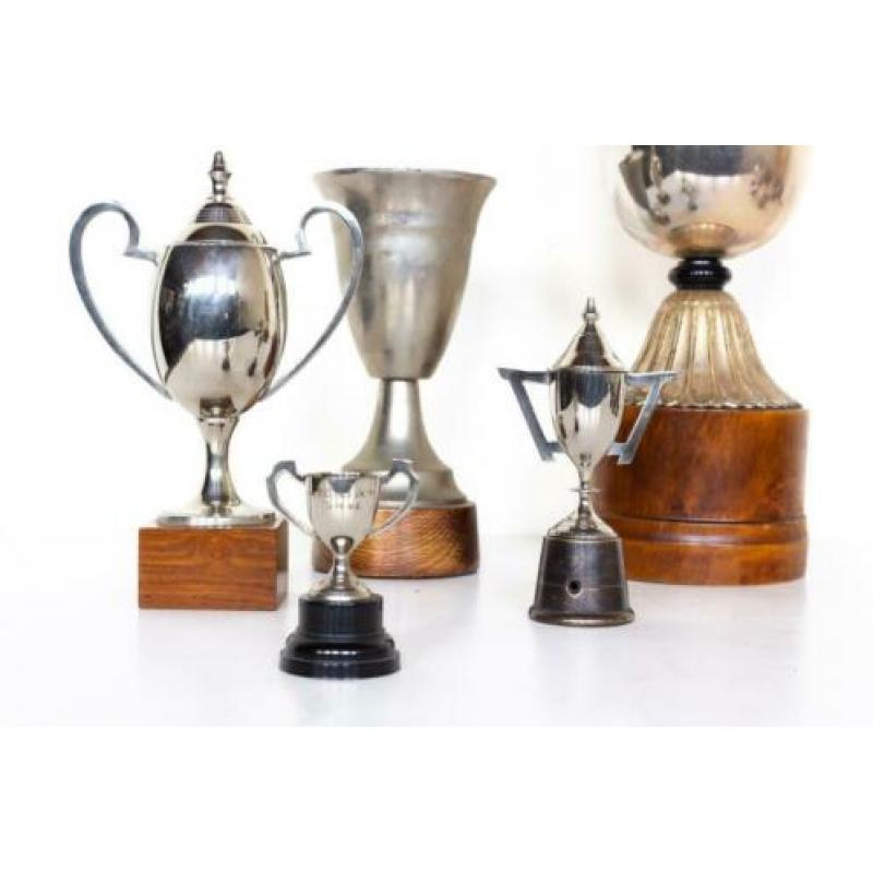 Oude sport trofee bekers prijzenbekers cups trofeeën