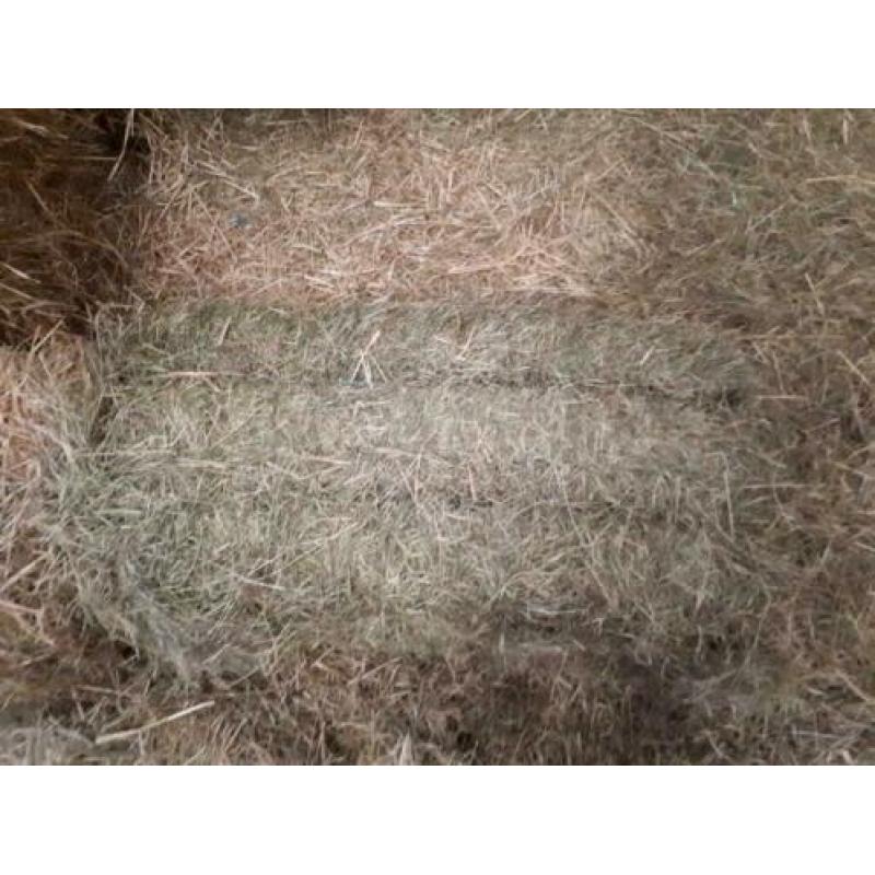 Diverse soorten paardenhooi