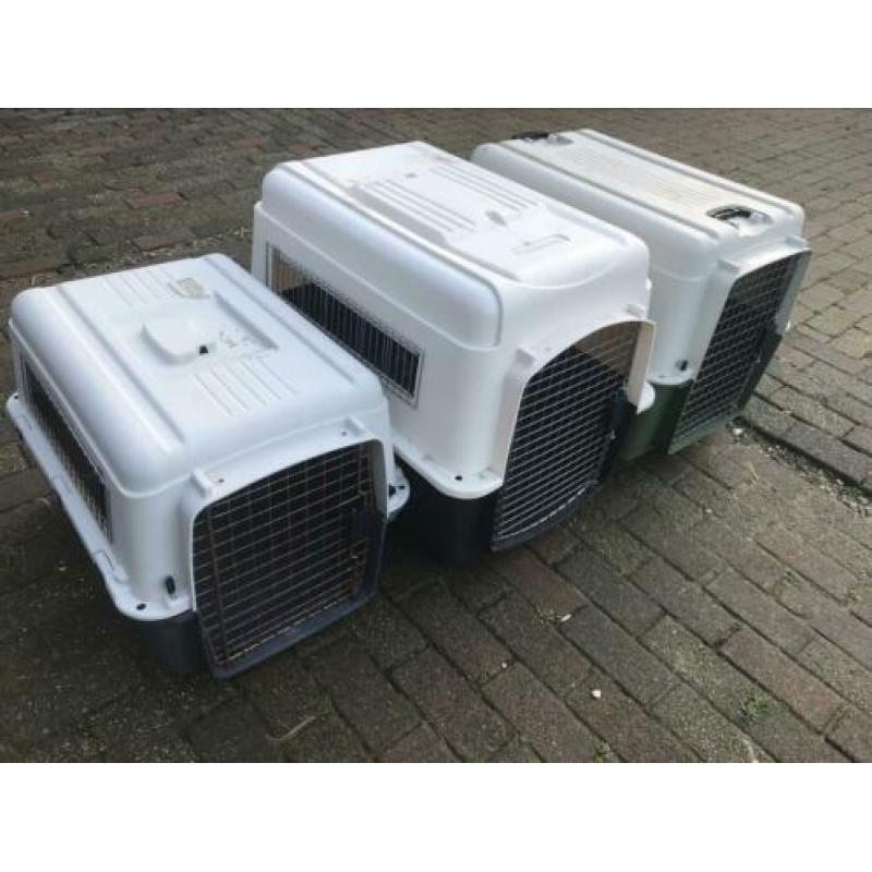 Honden varies