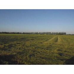 hooibaaltjes geschikt voor paarden en geiten