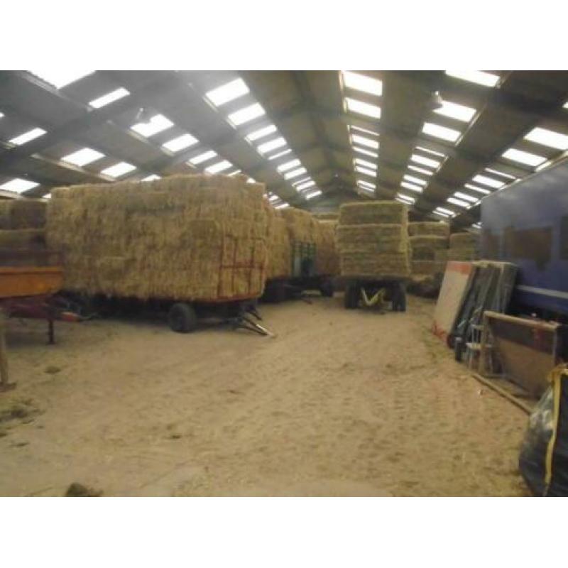 hooibaaltjes geschikt voor paarden en geiten