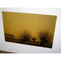 Twee natuurfotos (A18 2410) H
