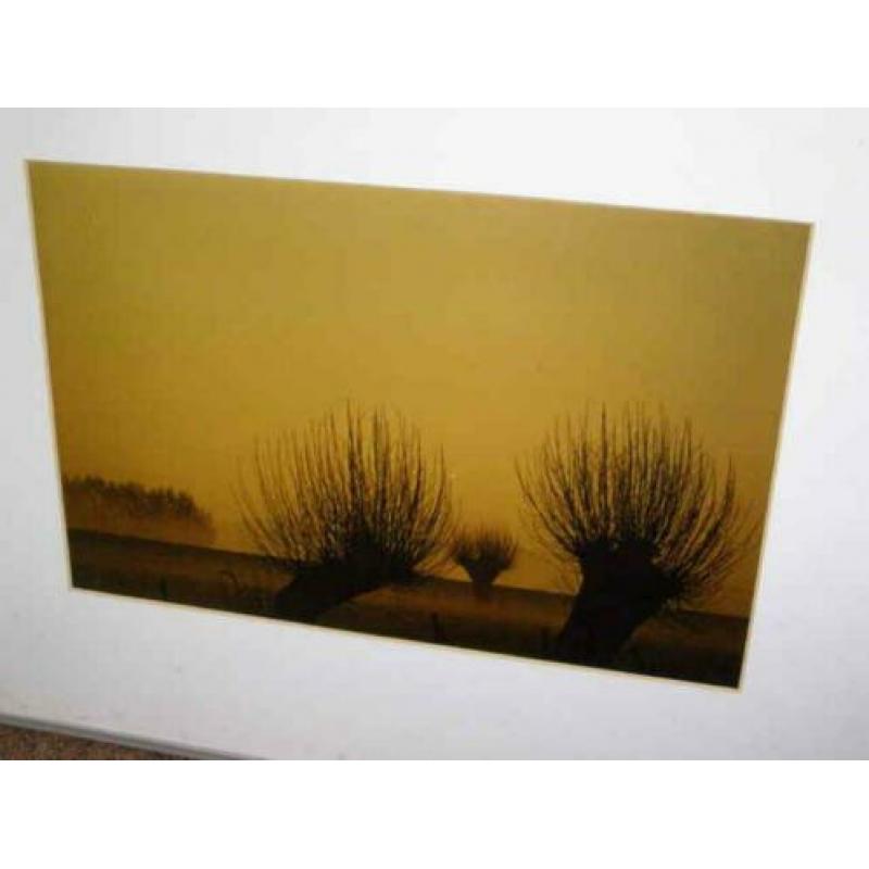 Twee natuurfotos (A18 2410) H