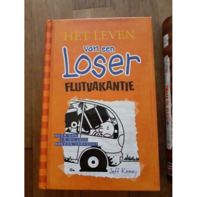 Het leven van een loser