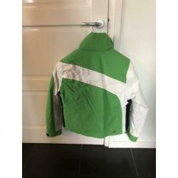 Skijas dames Falcon maat L/XL