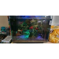 Superfish 80 home.(80L)