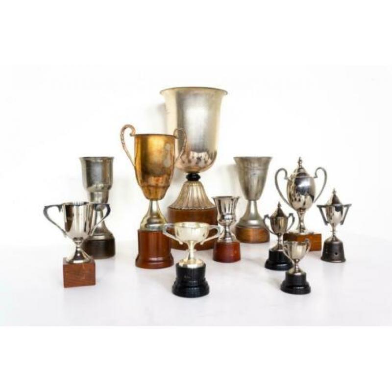Oude sport trofee bekers prijzenbekers cups trofeeën