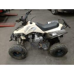 Tekoop 125cc quad! Pitbike dirtbike