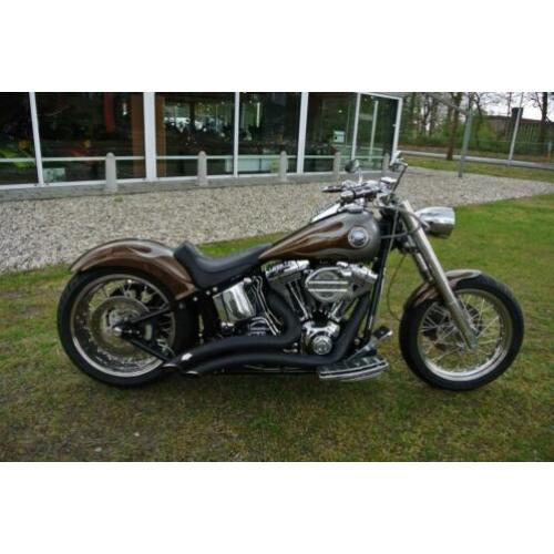 Harley-Davidson Heritage FLSTC