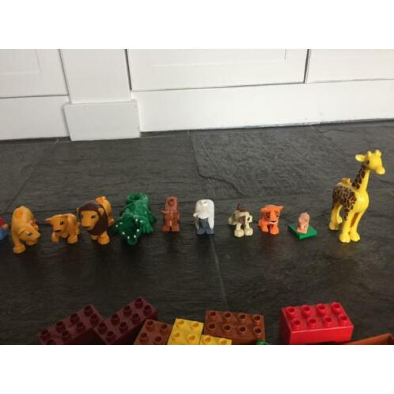 Duplo dierentuin