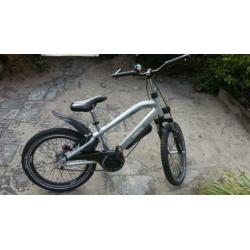 Stoere Alpina Trial jongensfiets 20 inch