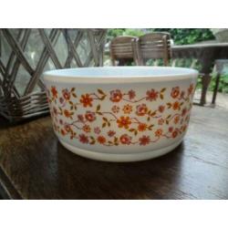 Vintage servies, schaal Scania en Veronica Arcopal