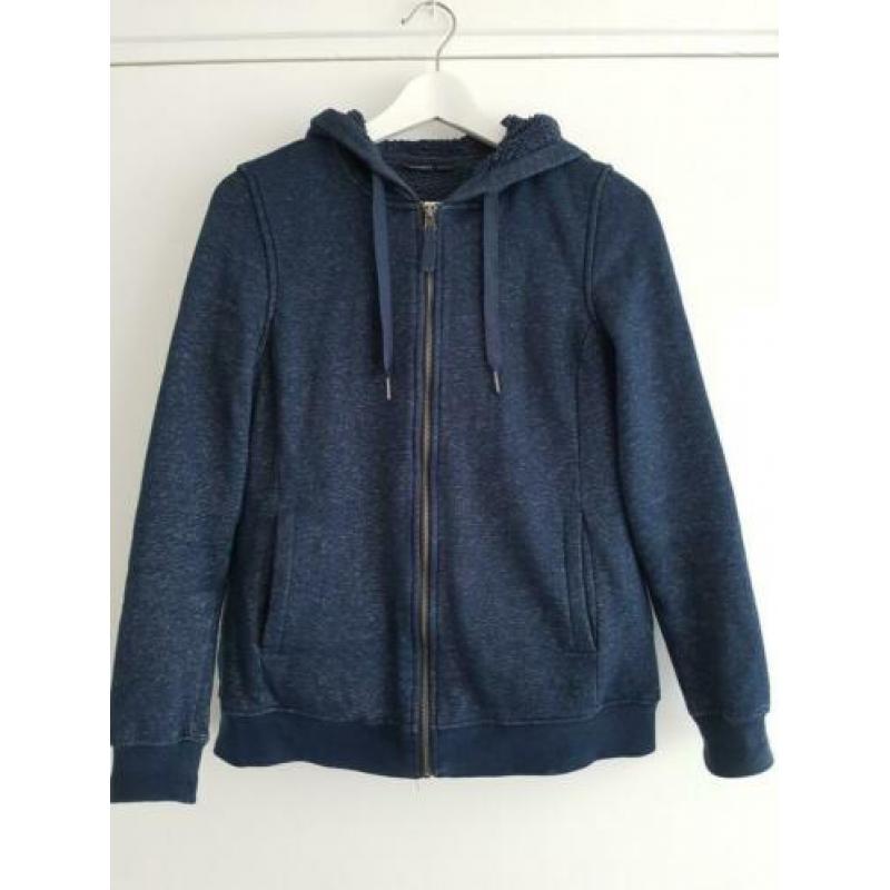 Lekkere gevoerde hoody met teddy stof in blauw van esmara