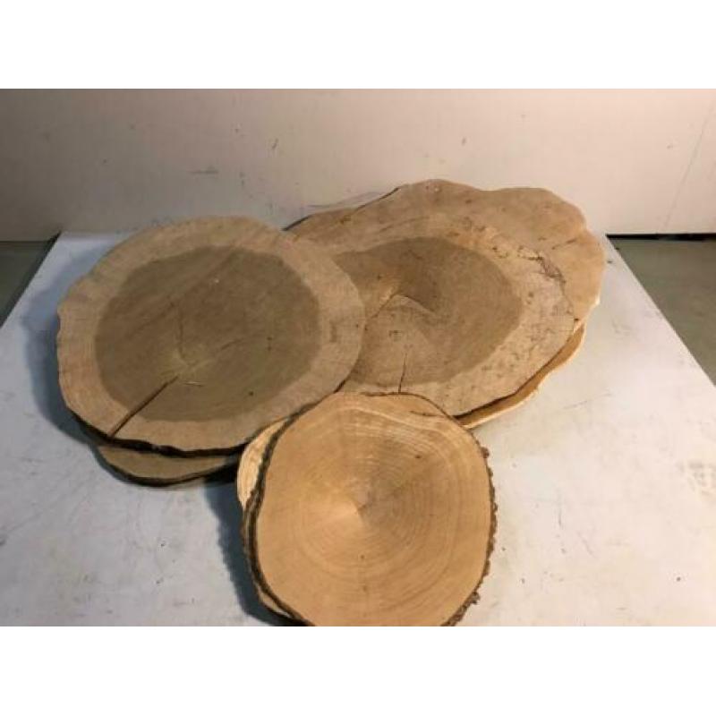 Houten schijven diverse maten N1215