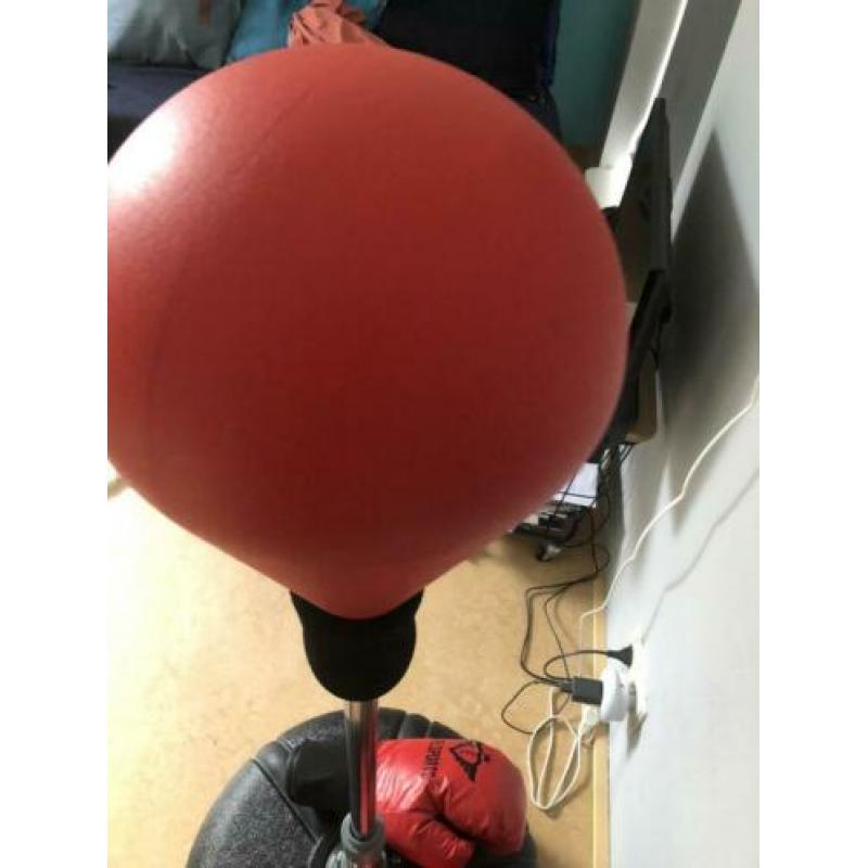 Mooie boksbal & handschoenen kinderen