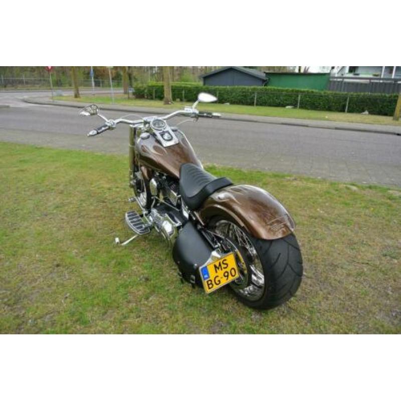 Harley-Davidson Heritage FLSTC