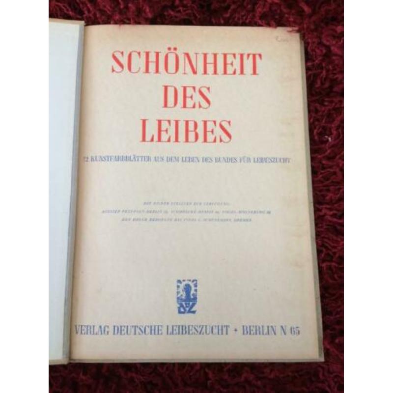 Vintage Erotica Schönheit des Leibes