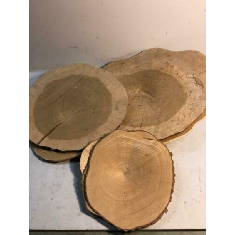 Houten schijven diverse maten N1215