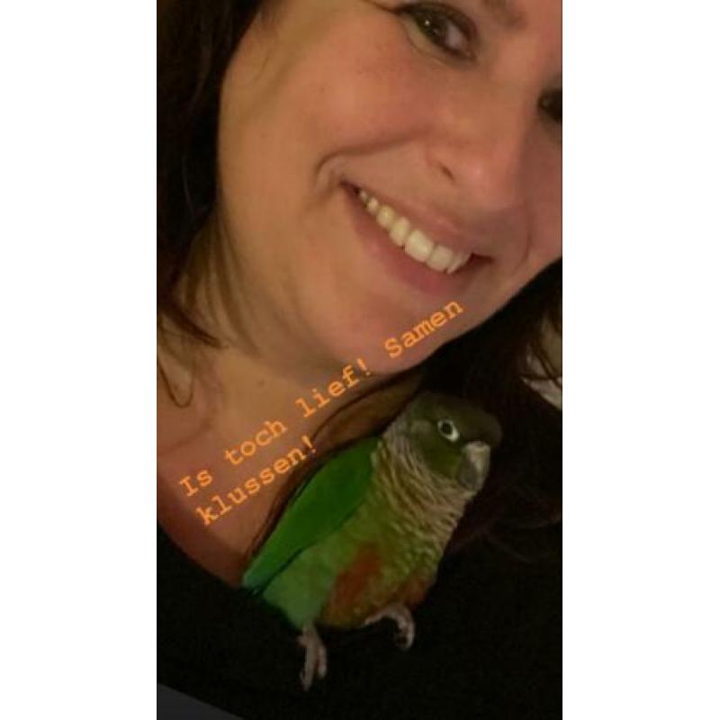 Vogelkooi met Pyrrhura’s