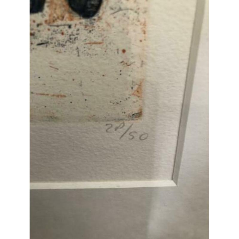 Litho Paarden “Longeer cirkels”