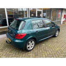 Peugeot 307 2.0-16V XT CLIMA | ELEK-RAMEN | 5-DEURS | APK