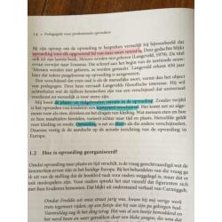 Boek Pedagogiek voor professionele opvoeders