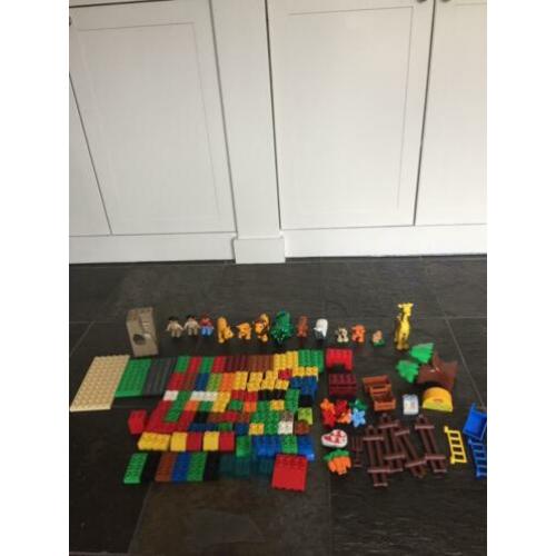 Duplo dierentuin