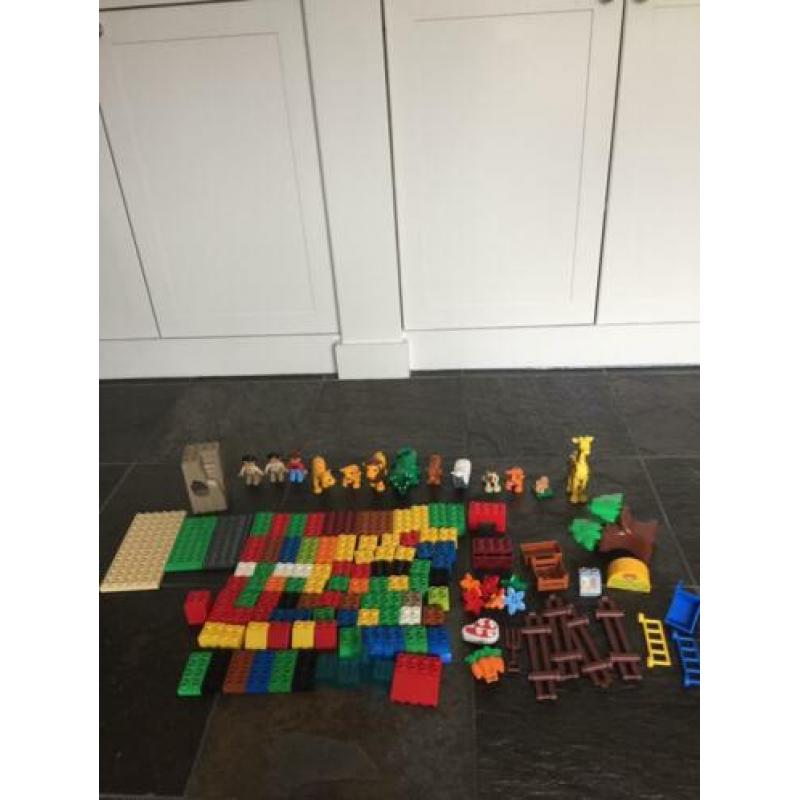Duplo dierentuin