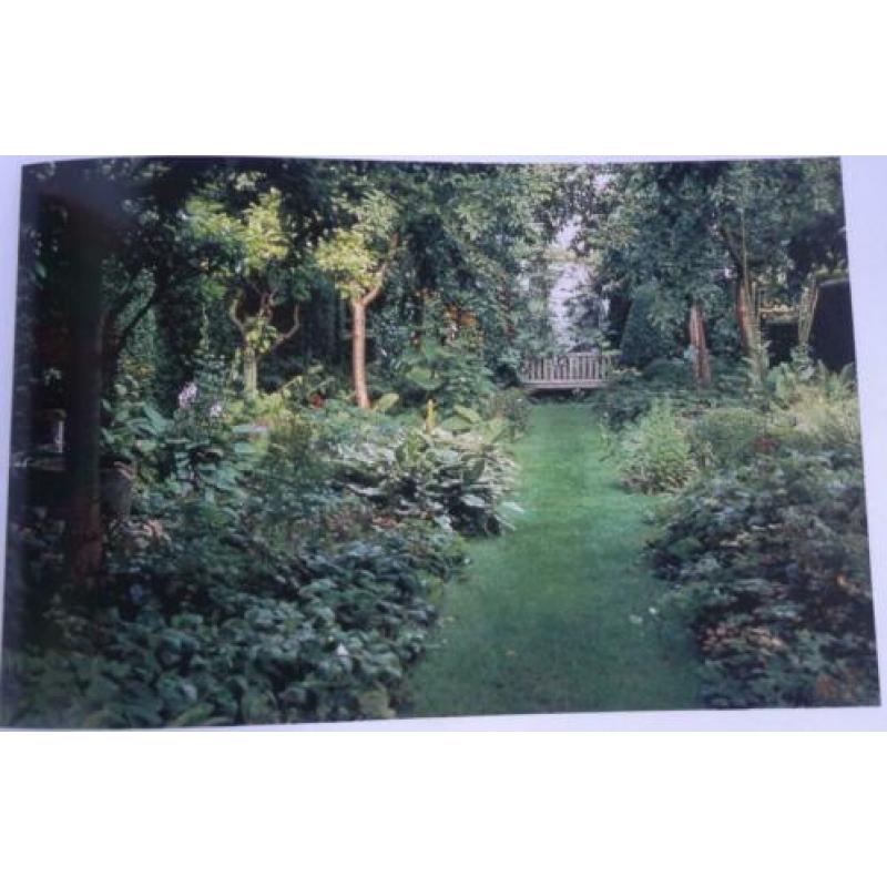 DE MOOISTE PLANTEN VOOR DE TUIN * Hermine van Wyhe - Ruys *