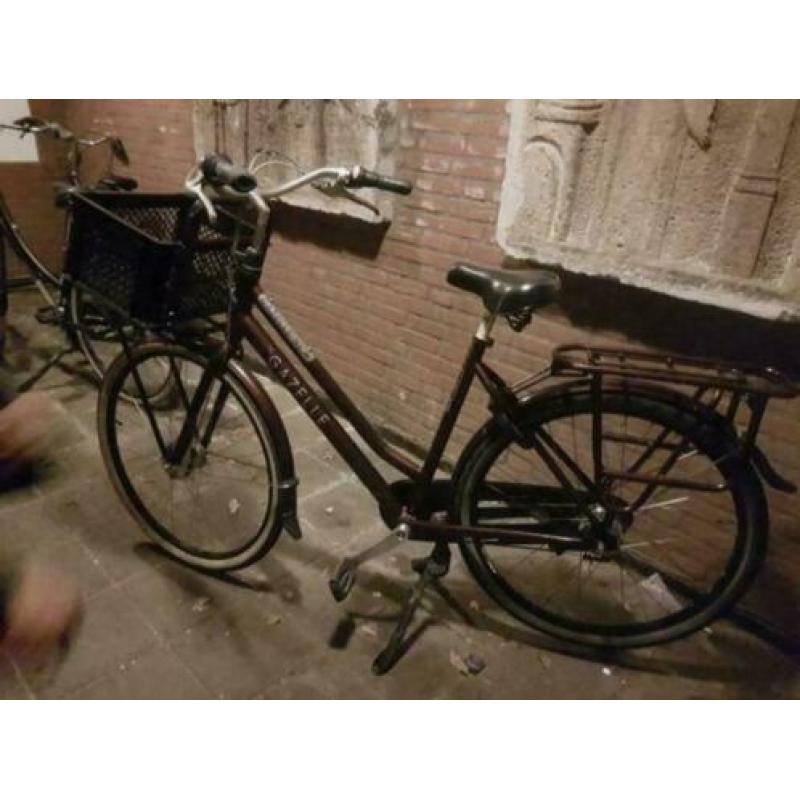 gazelle nl
