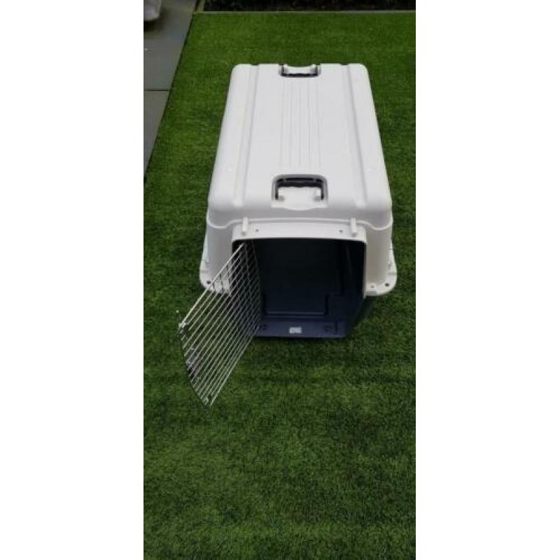 Bench Kennel Hond